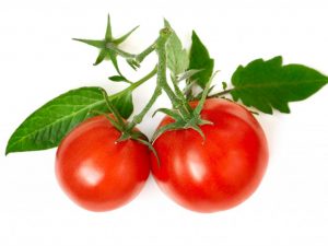 Tomaten telen volgens de methode van Galina Kizima