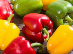 Regler för odling av paprika