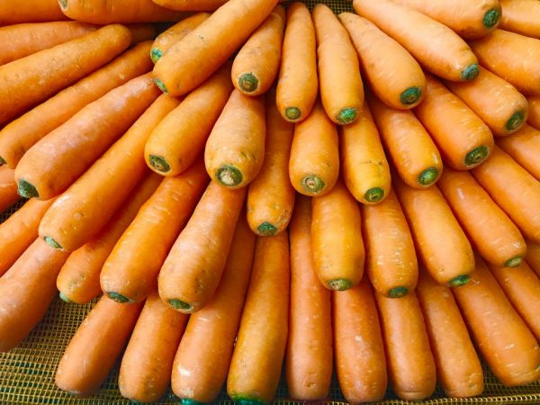 Características de las zanahorias Abaco