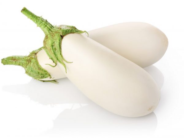 Description of Bibo eggplant
