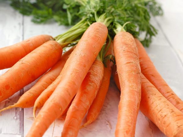Las zanahorias se pueden proteger con aderezo y fertilización.