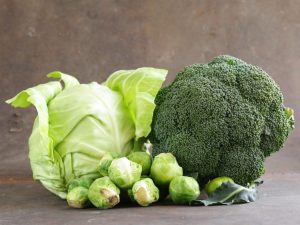 Groeiende broccoli-koolfiesta