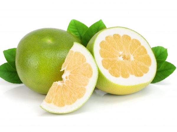 Pozoruhodné citrusové hybridy