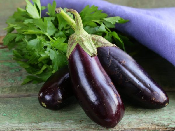 The interpretation of the eggplant dream