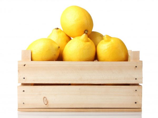 Storing lemon at home