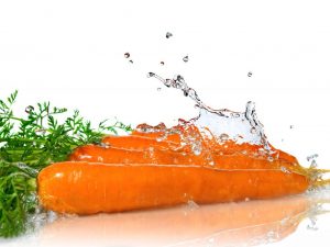 Funktioner av att vattna morötter efter spiring