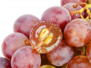Druiven telen uit zaden