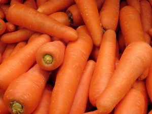 Caractéristiques des carottes Canada
