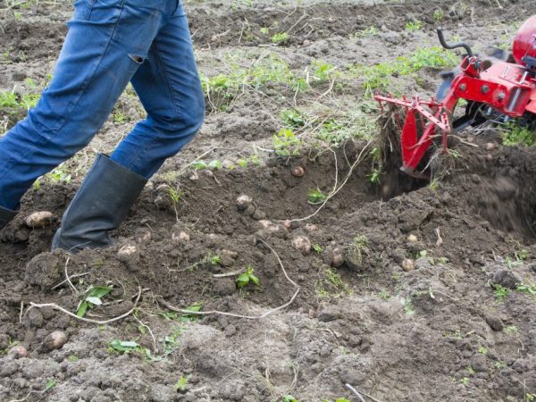 Potato diggers differ in parameters