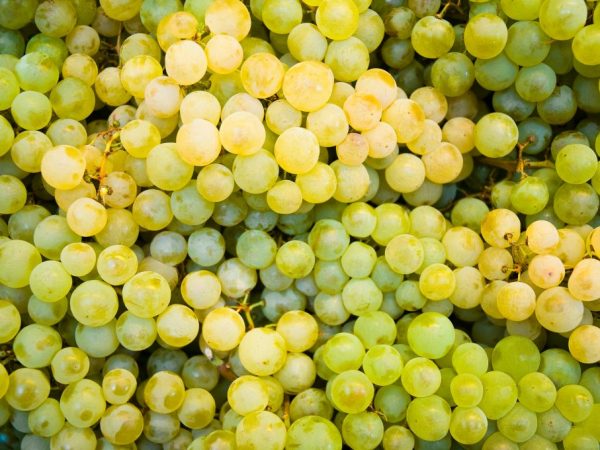 Les principales propriétés des raisins secs blancs