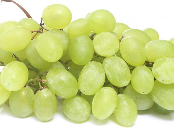 Las uvas tienen un efecto positivo en los humanos.