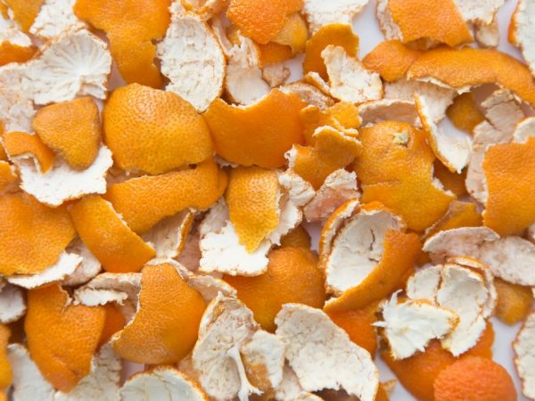 Las cáscaras de naranja eliminarán la invasión de insectos.