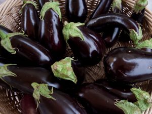 Beschrijving van Eggplant King of the Market