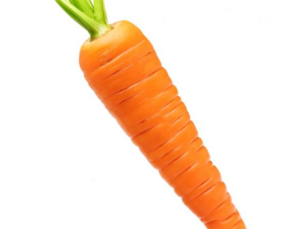 Karaktäristiska sprickor på morötter