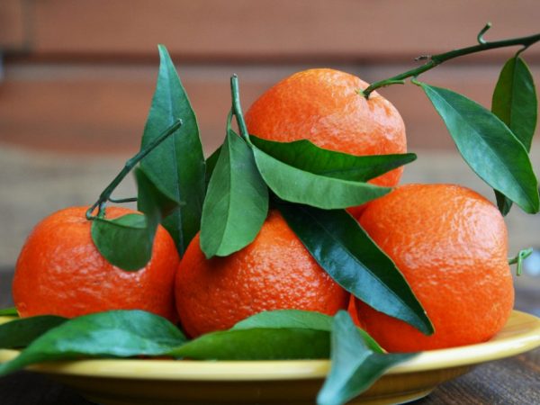 Vlastnosti červené mandarinky