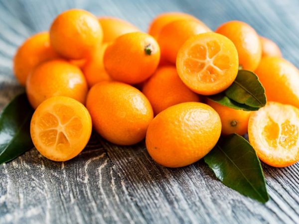 Kumquat de citrice