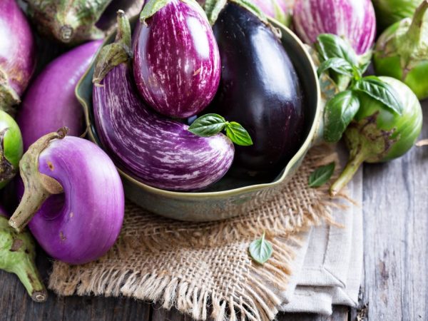 De beste soorten aubergines voor de teelt van de regio Moskou