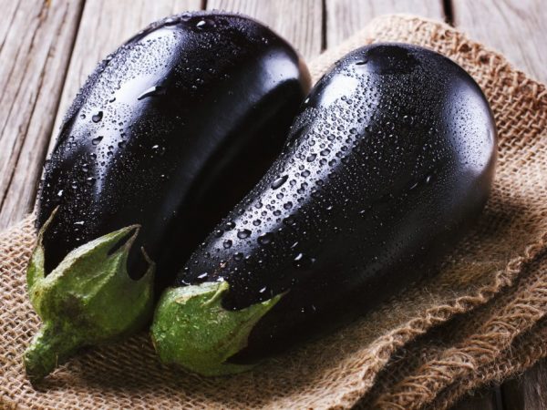 Eggplant can grow outdoors