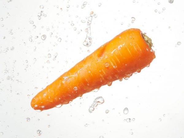 Buenas zanahorias cuando se plantan correctamente.