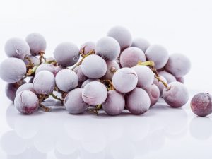 Récolter les raisins pour l'hiver au congélateur