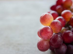 Description des raisins panachés
