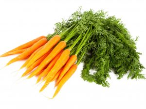 Causes of yellowing and drying of carrot tops