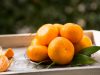 Het gebruik van mandarijnen voor ziekten van de alvleesklier