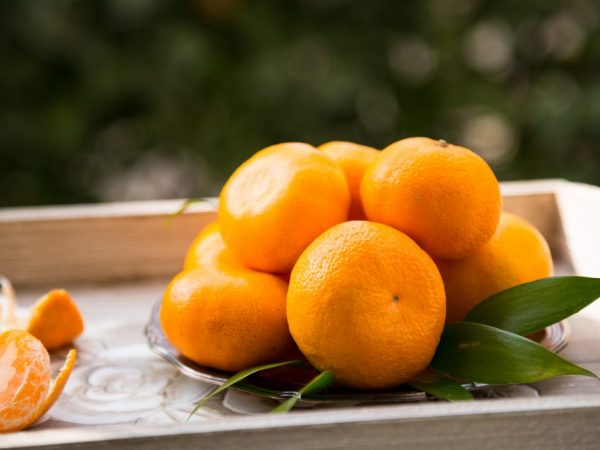 Použití mandarinek pro onemocnění slinivky břišní