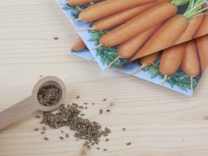 Bestimmung des Zeitpunkts für das Pflanzen von Karotten im Mai 2018