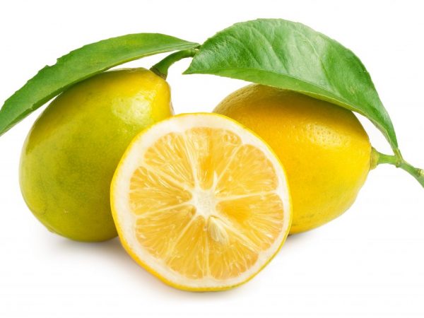 Citron för förkylning