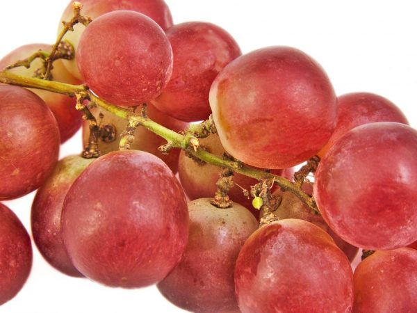 Características de las uvas Red Globe