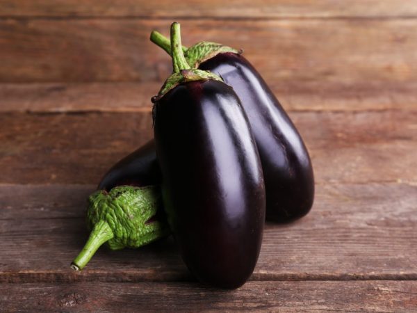 Robin Hood Eggplant