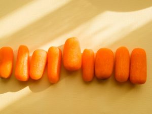 Características de las zanahorias Shantane.
