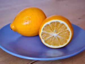 Växande Tashkent citron