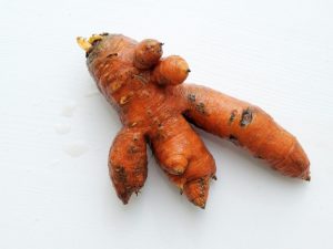 Bestrijding van bladluizen op wortelen