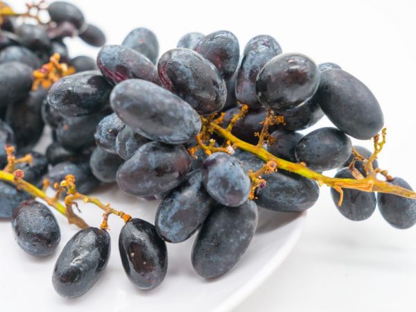 Athos szőlőtermesztése