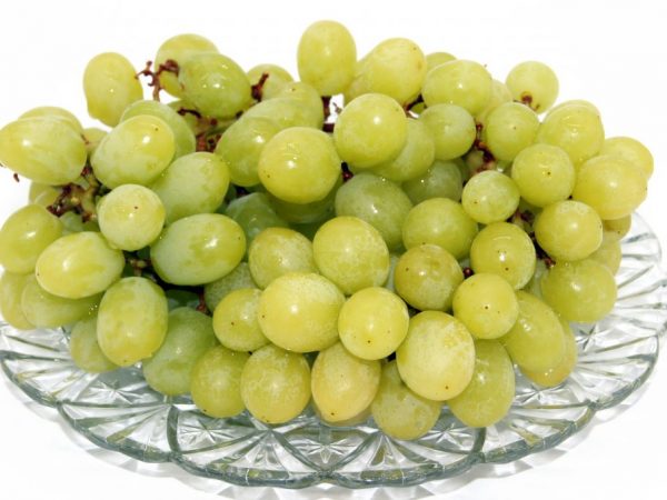 Características de las uvas White Miracle