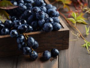 Soorten zwarte druiven