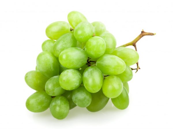 Description des raisins Tant attendu