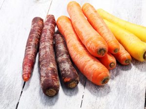 Paarse wortel