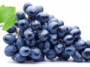 Galia grape variety