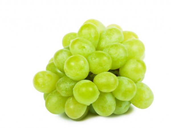 Las uvas son adecuadas para la nutrición dietética.