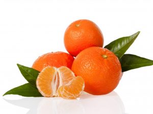 Mandarine marocane