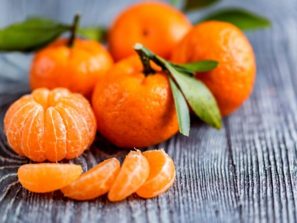 Mandarinky potřebují péči