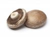 Kenmerken van de Portobello-paddenstoel