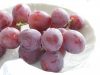 Description of grapes Red Globe