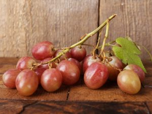 Ruta-druiven