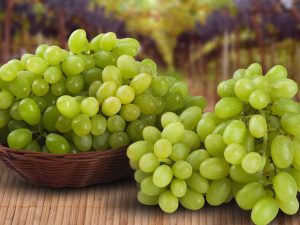 Kaloriinnehåll i gröna druvor