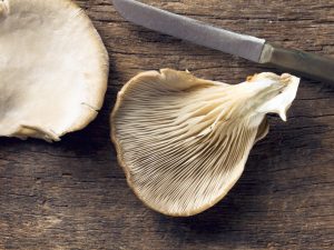 Cleaning oyster mushrooms