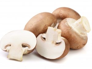 Description of the royal champignon mushroom